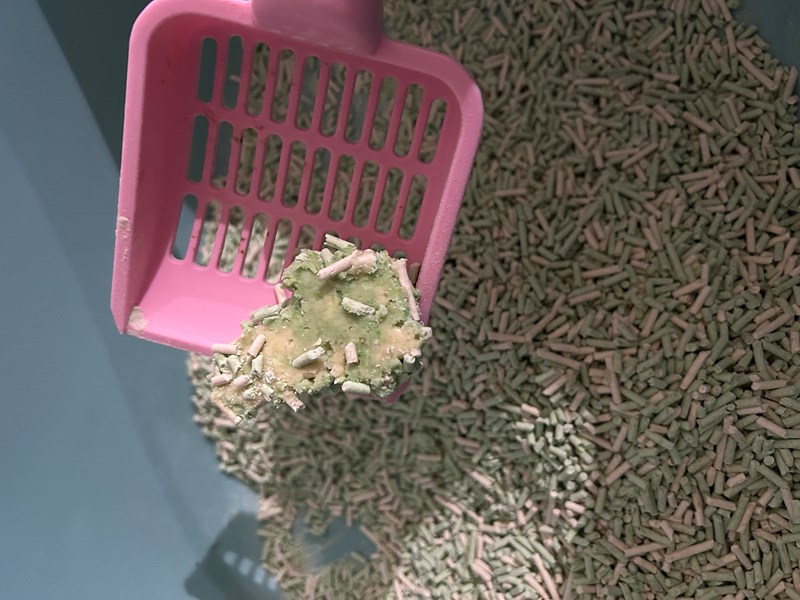 試用